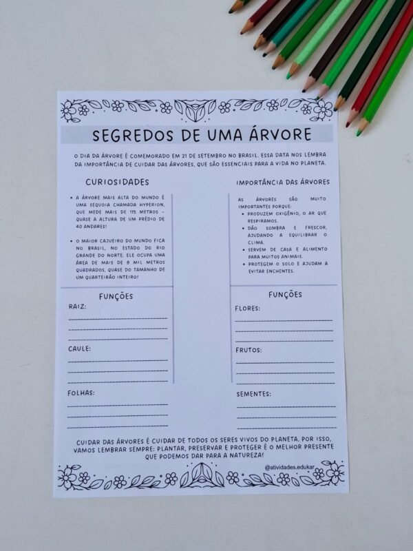 Dia da árvore - Imagem 4