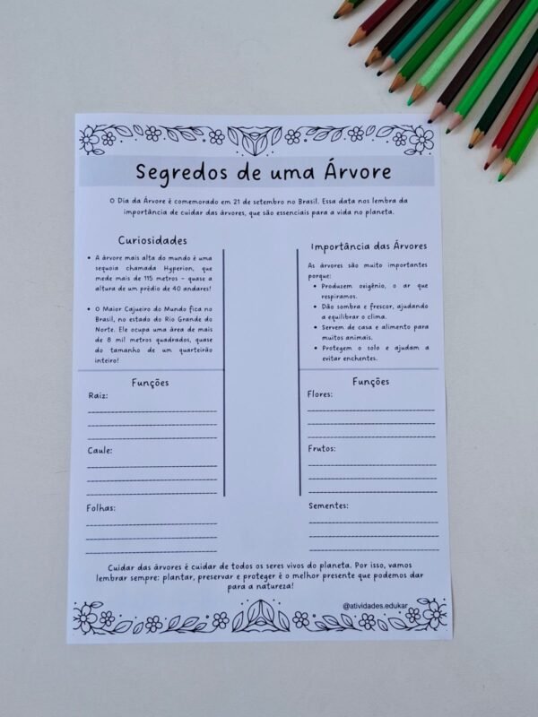 Dia da árvore - Imagem 5