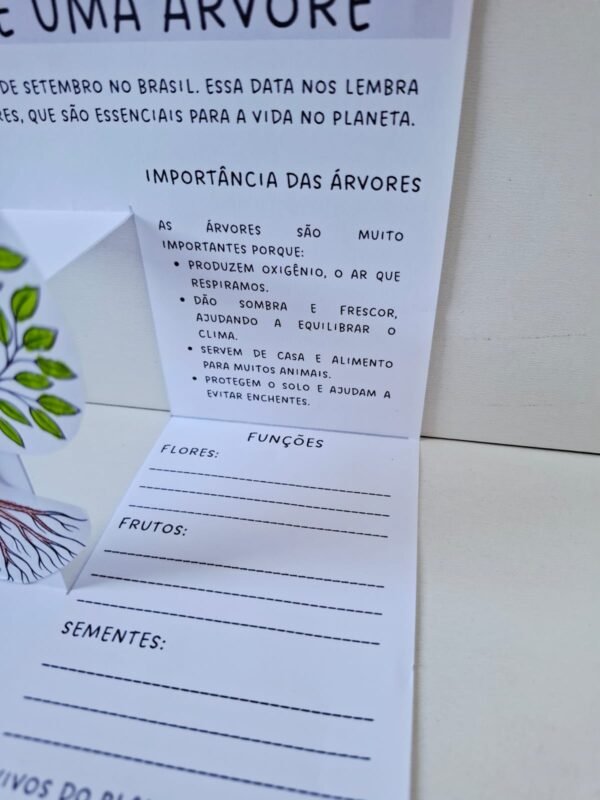 Dia da árvore - Imagem 8