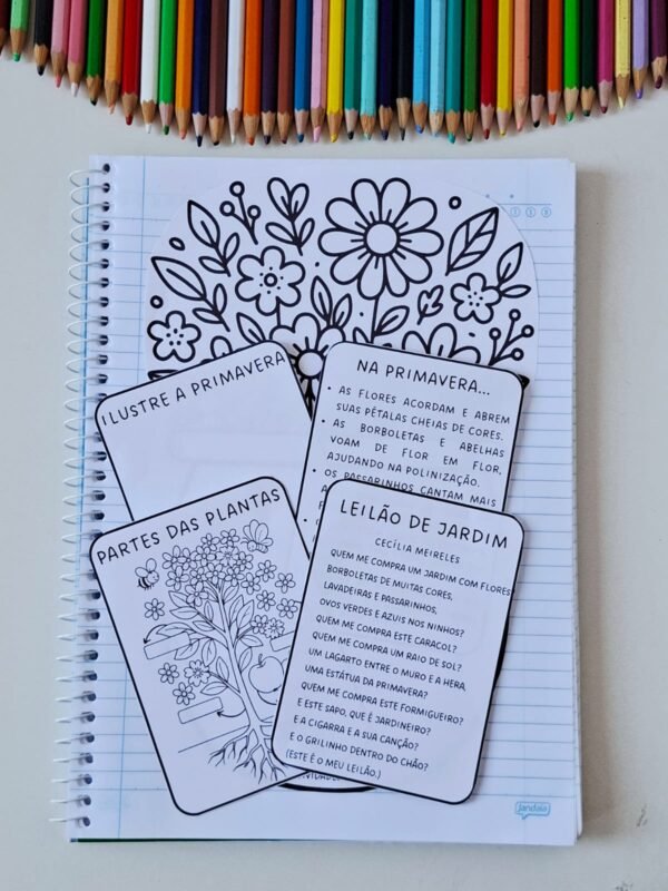 Primavera - material interativo - Imagem 7
