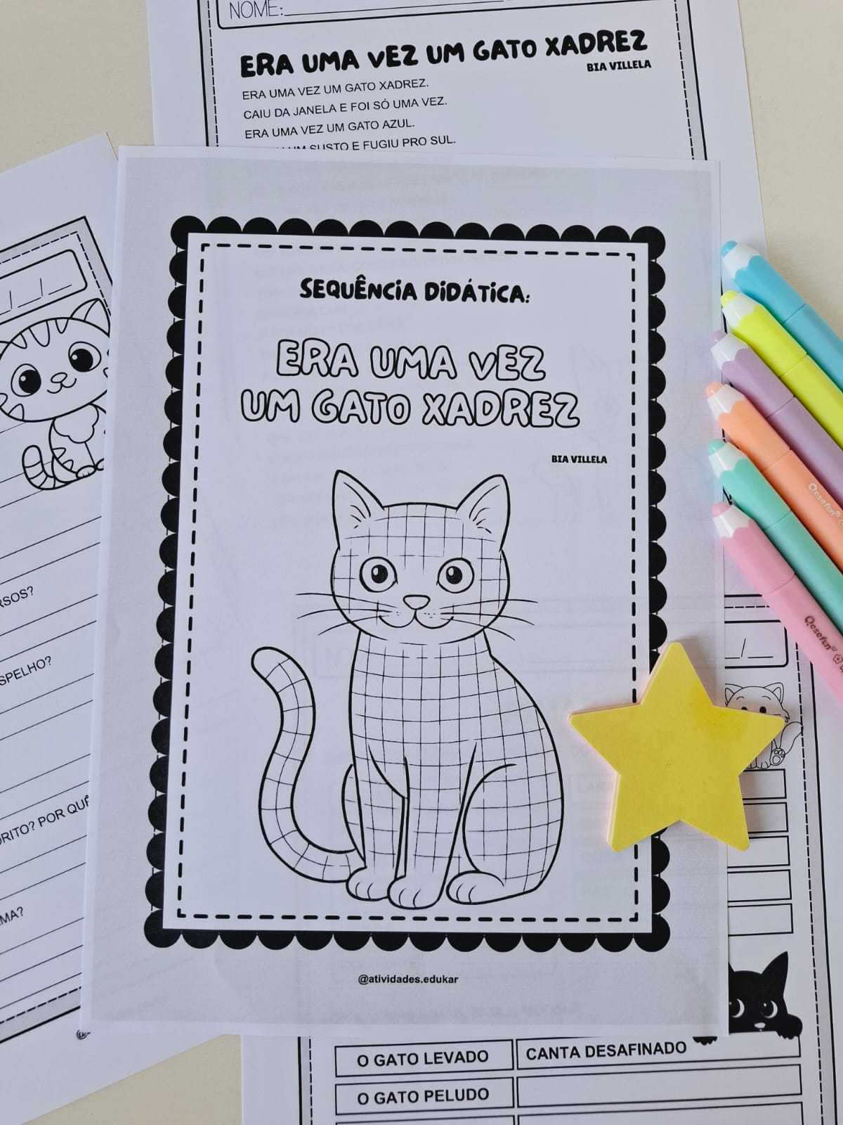 Sequência didática - Era uma vez um gato xadrez