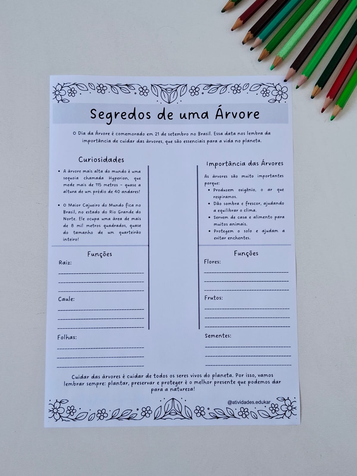 Dia da árvore - Imagem 5