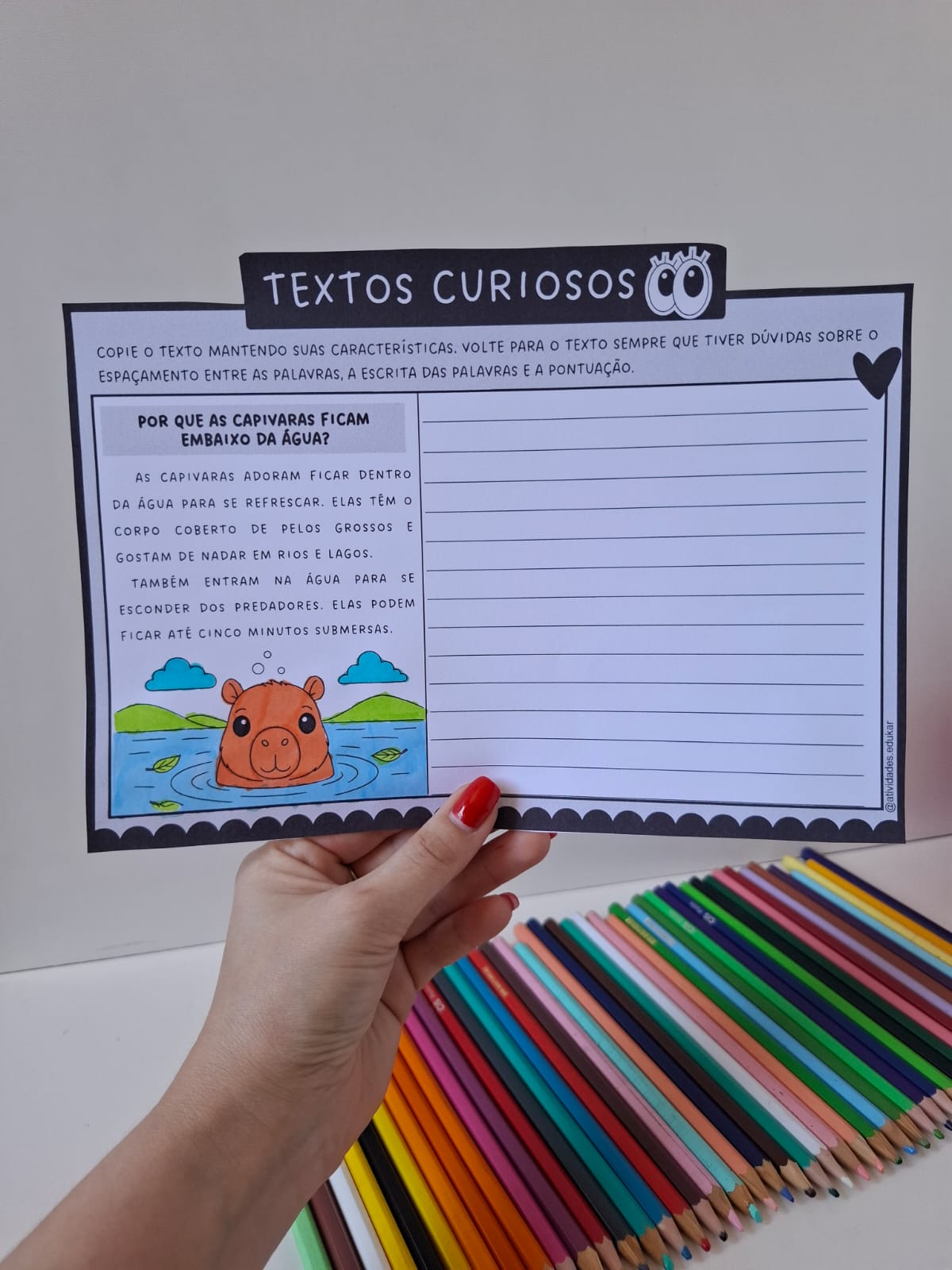 Textos curiosos - copiando textos - Imagem 2