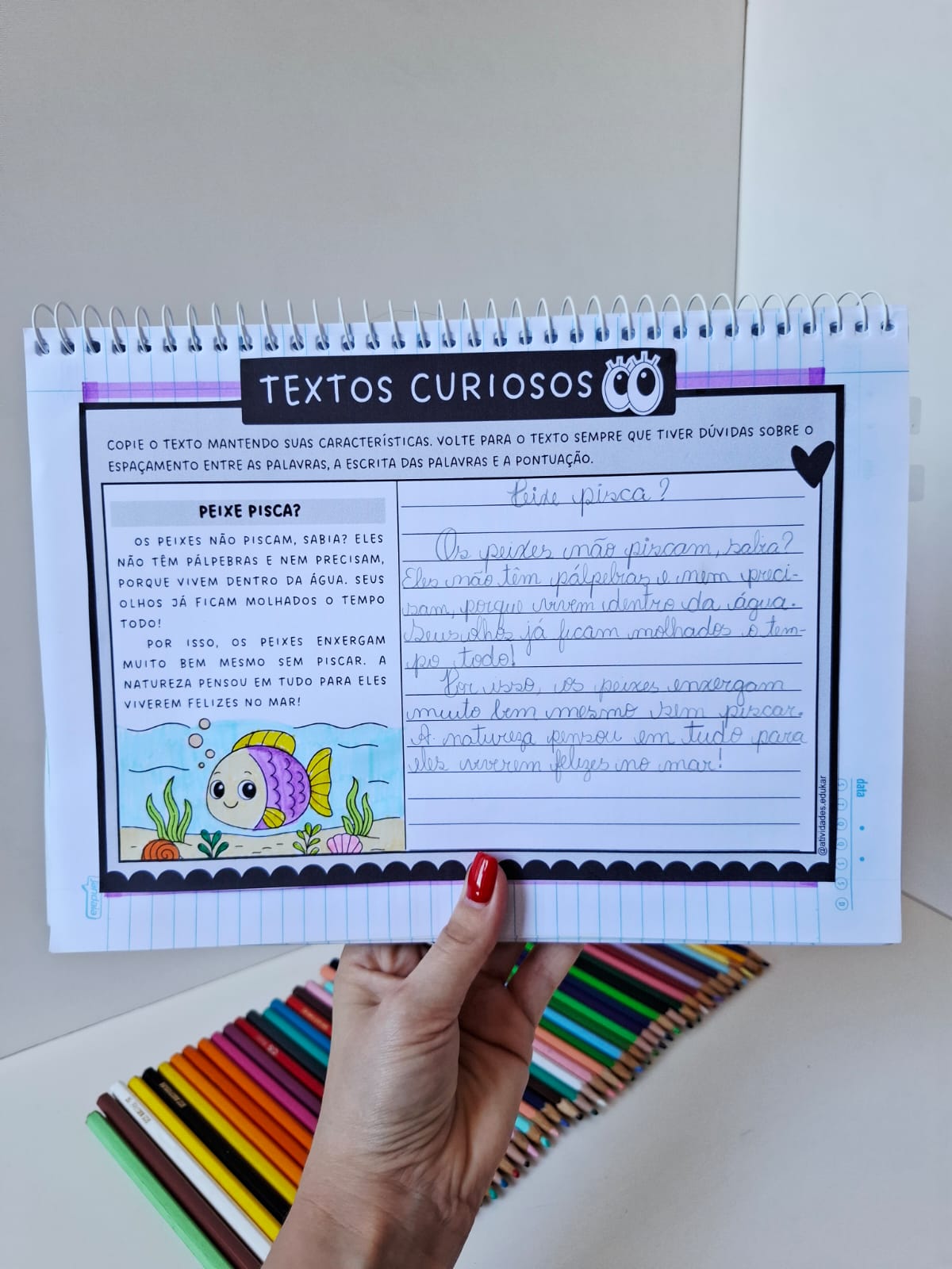 Textos curiosos - copiando textos - Imagem 3