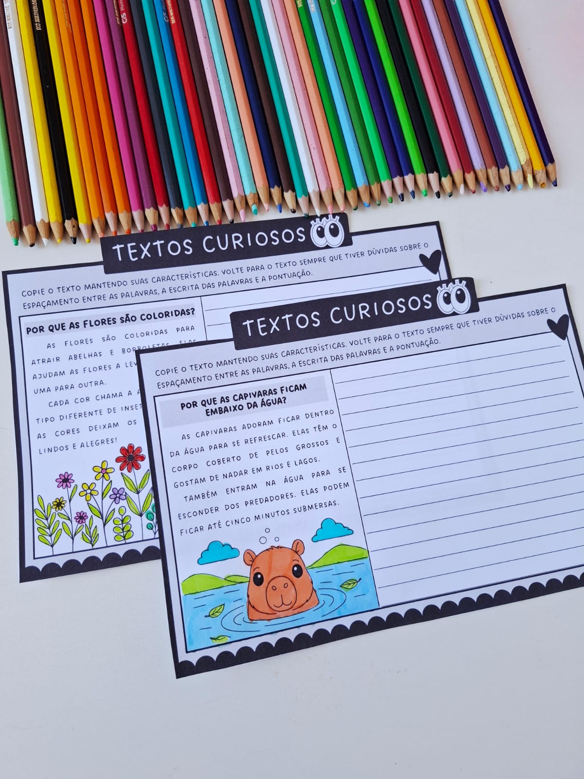 Textos curiosos - copiando textos - Imagem 6