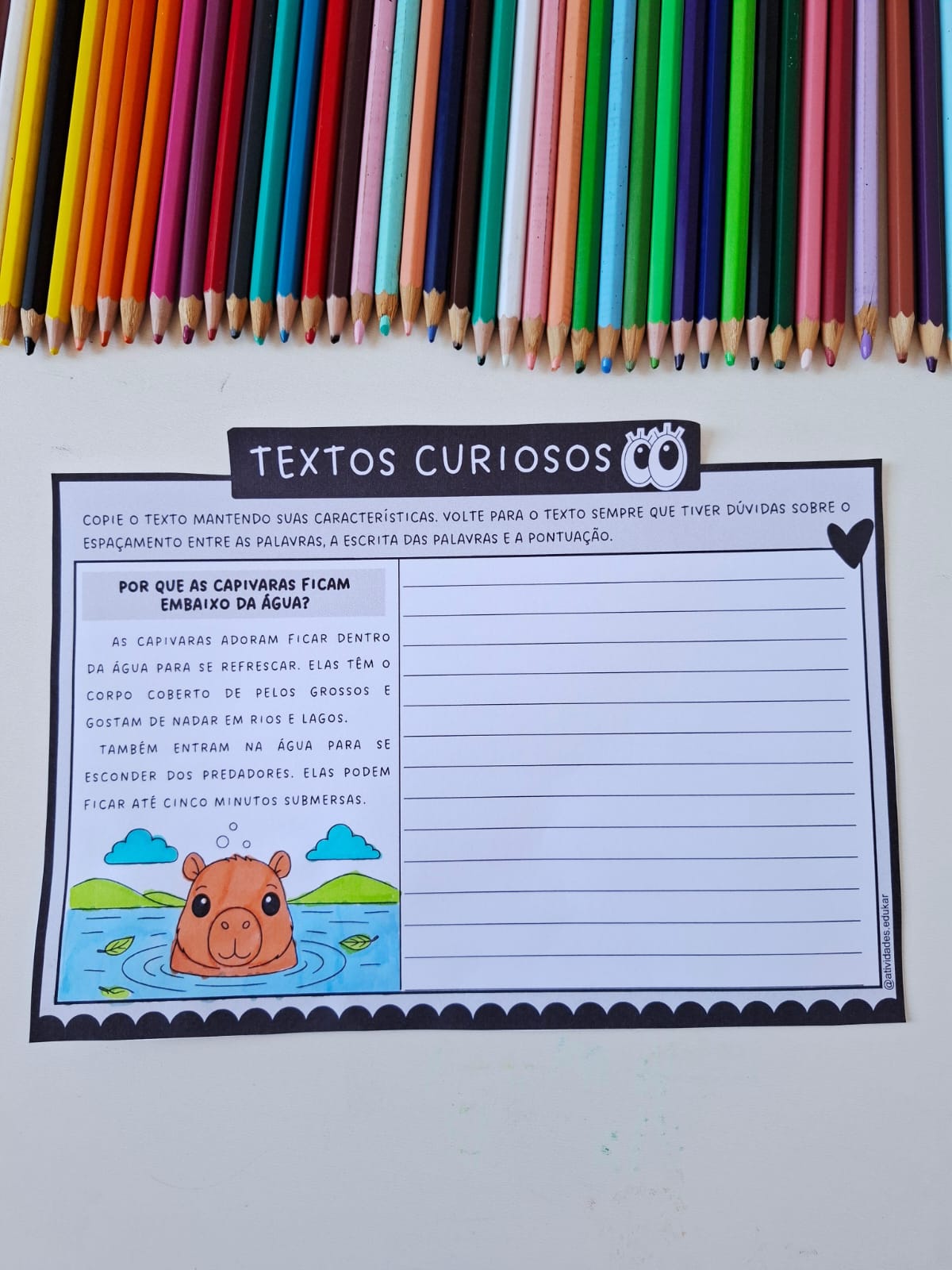Textos curiosos - copiando textos - Imagem 8