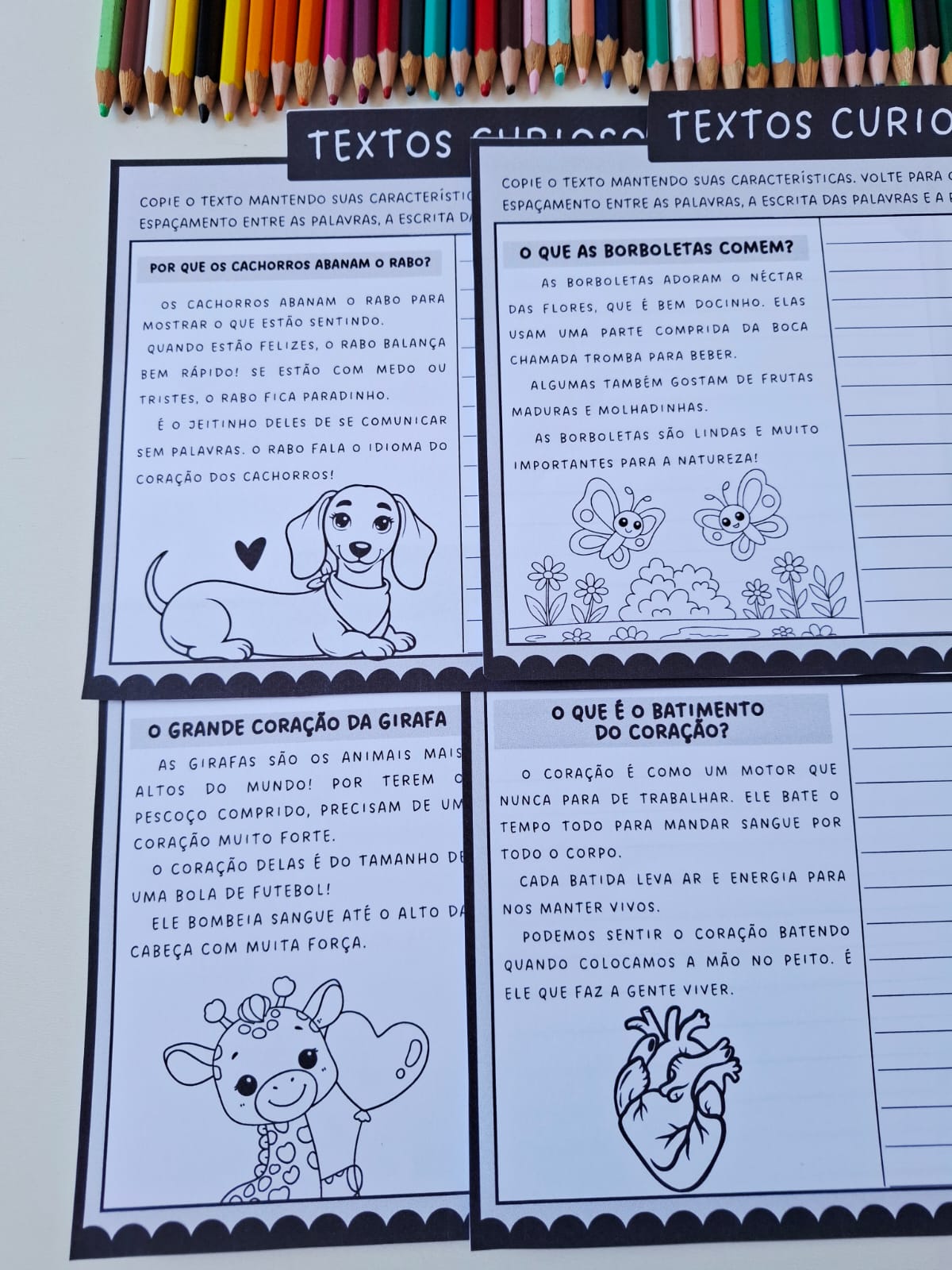 Textos curiosos - copiando textos - Imagem 9