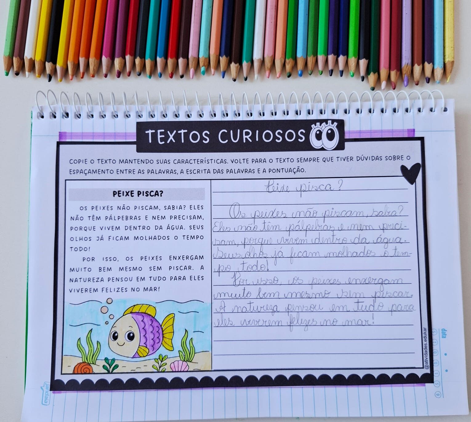 Textos curiosos - copiando textos