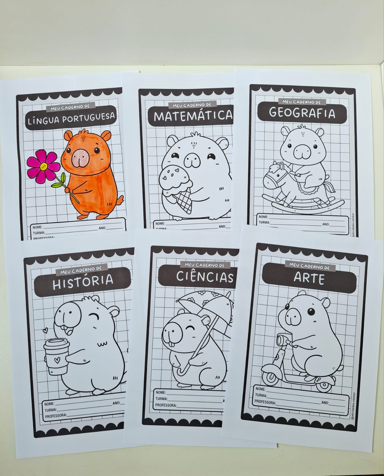 Capinhas de caderno - 5 opções de temas