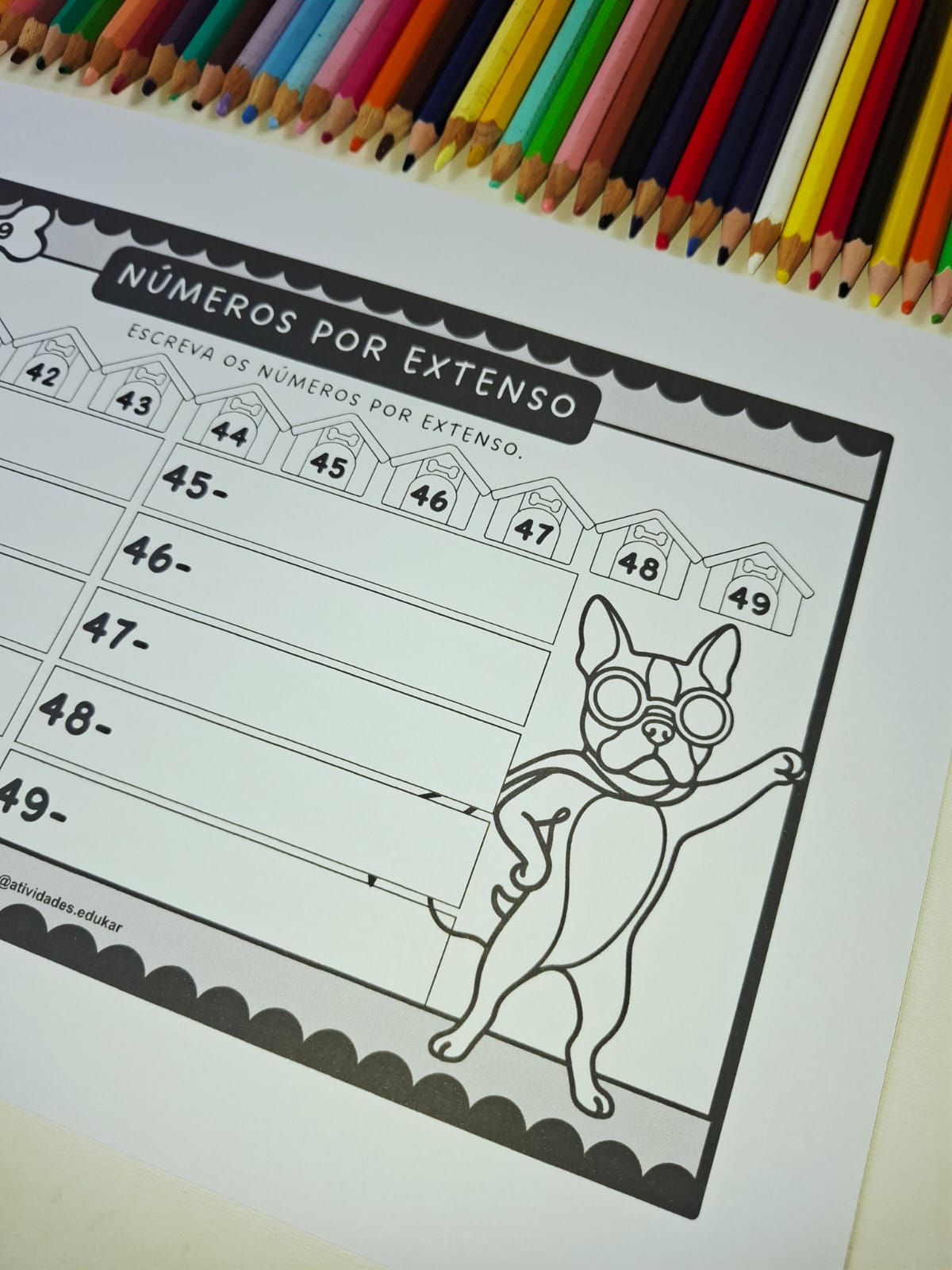 Números por Extenso até 100 – Dogs - Imagem 4