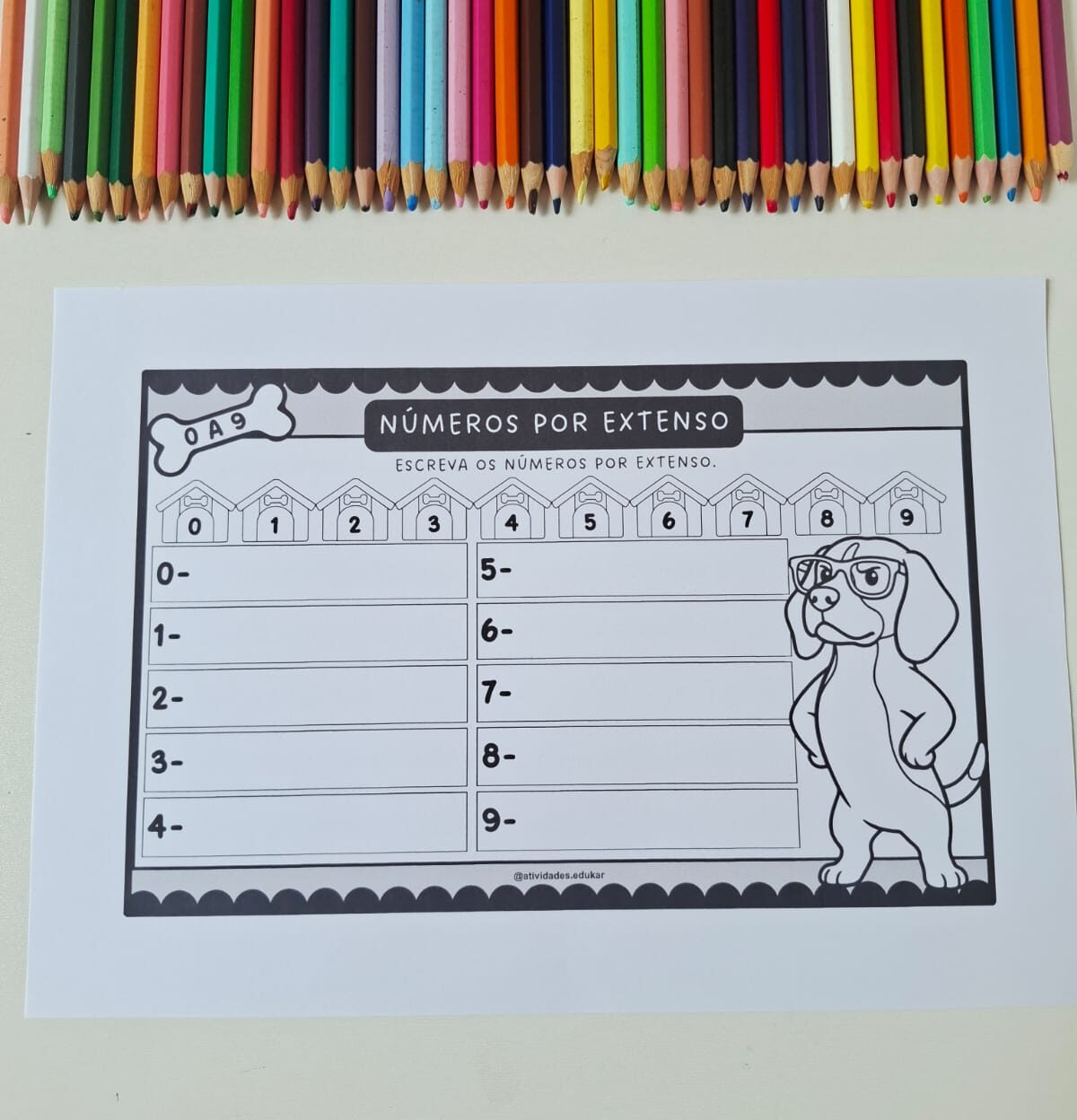 Números por Extenso até 100 – Dogs