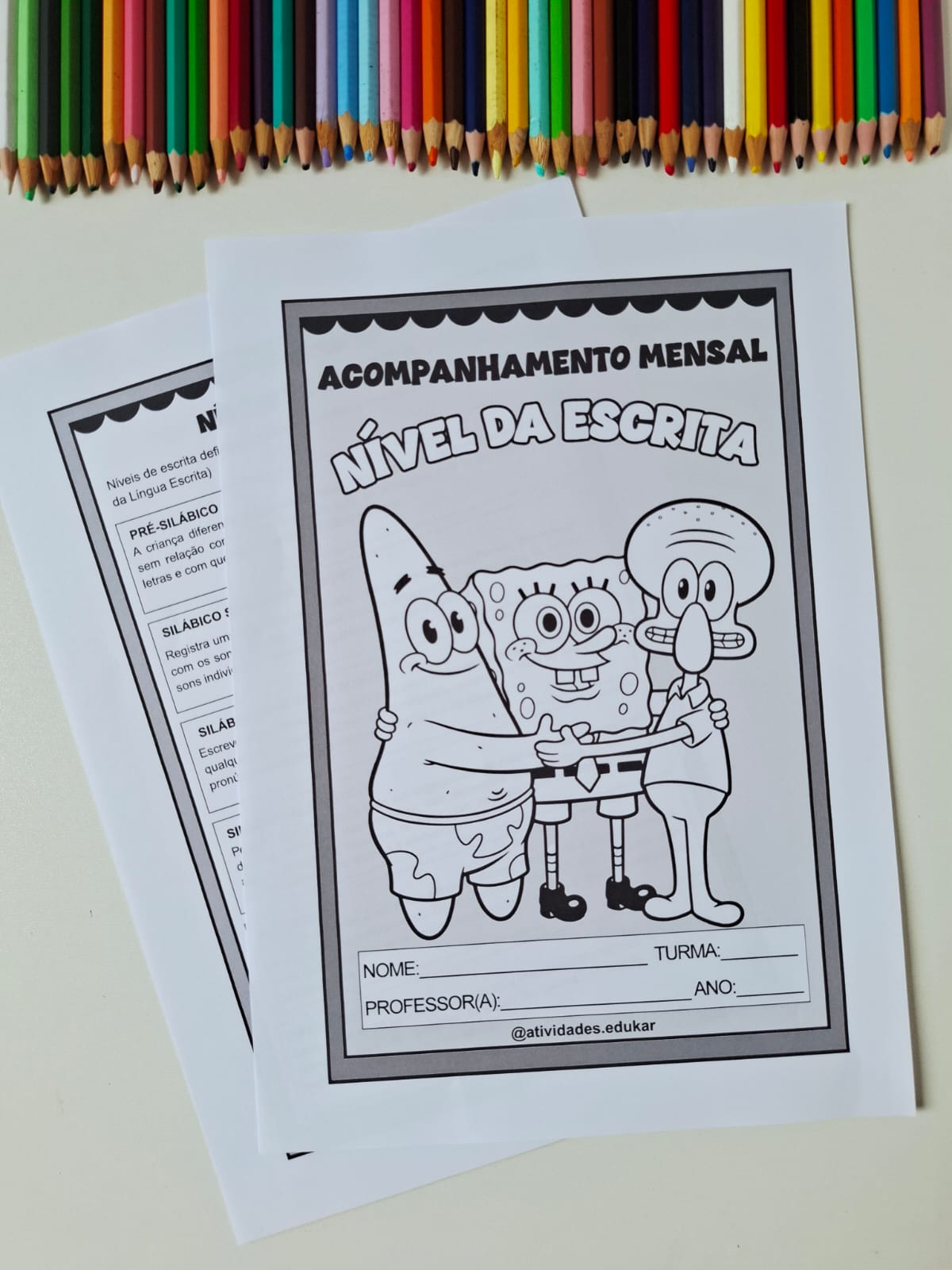 Acompanhamento mensal do nível de escrita