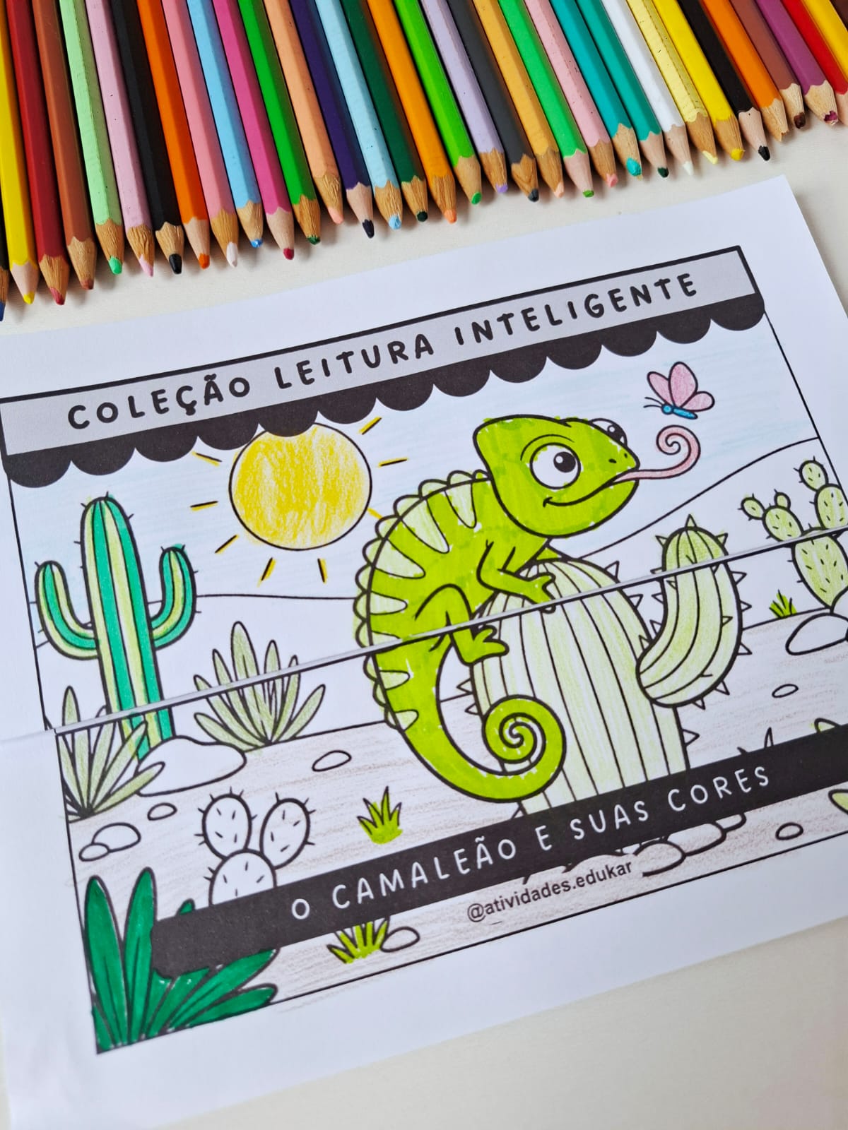 Coleção Leitura inteligente
