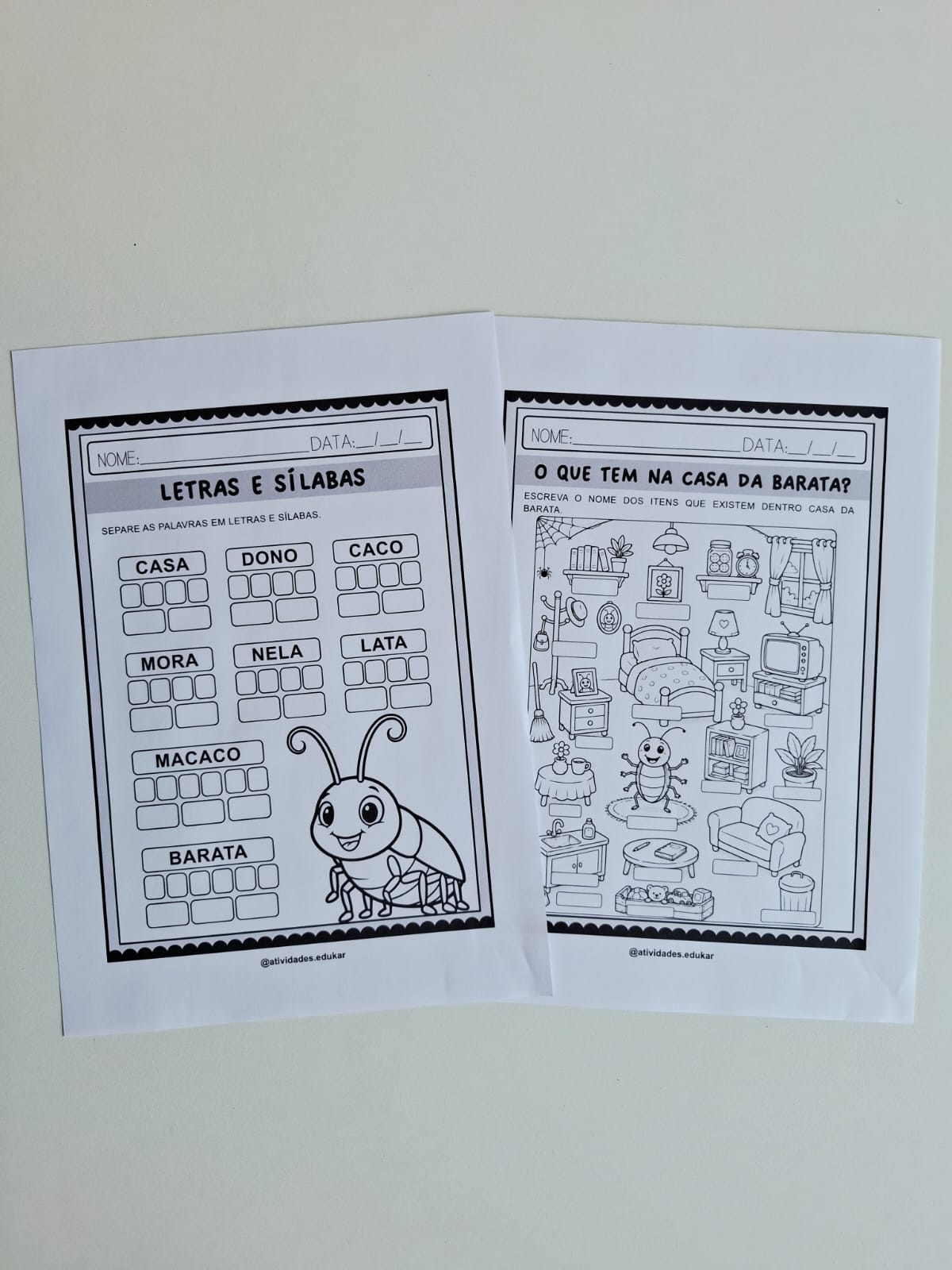A Casa e o Seu Dono - Sequência Didática e Mural - Imagem 8